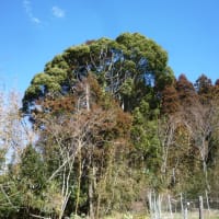 富士山探訪記ーーー２