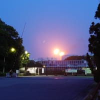 房総半島、春の8の字ツーリング！最終回