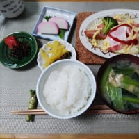 今日は朝からの雨