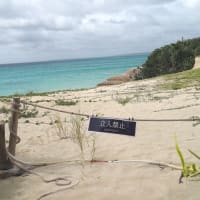 ✈︎ マイルひとり旅 🏖️ ホテル前の与那覇前浜