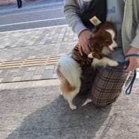 ともだち