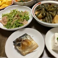 冷奴が美味い〜♪