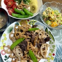 夕飯3日分は、蓮根炒めやアジの開きやカレーです