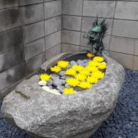 変わってしまった八百屋お七の菩提寺