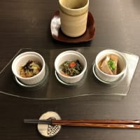 沖縄の鳥