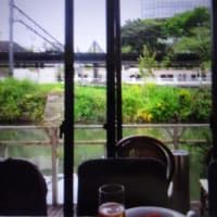 昨日同窓会出席目的で行った飯田橋の某カフェにて撮影した写真です。