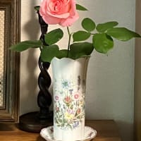 アメーバブログに移行しました。よろしくお願いします。