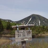 都合の良い言い訳