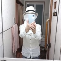 アシナガバチが巣を作ってた(@_@)