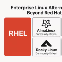 Enterprise Linux Alternatives: Beyond Red Hat
