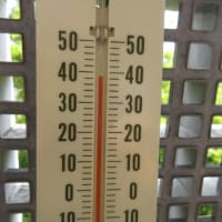 【気まぐれ写真館】 ベランダ測候所、38℃超え