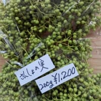 ＜山椒の実＞　北丹沢の無農薬　タカギの畑産　