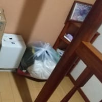 片付けリベンジ1日目