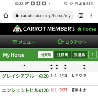 キャロット募集を終えて