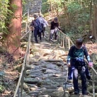 別府温泉ツアー