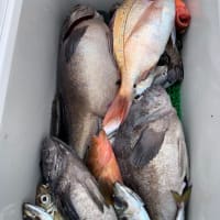 宝昌丸　6月13.14日の釣果