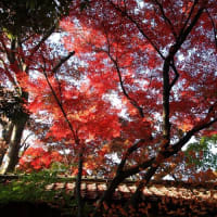 gooブログを始めた１７年前をふりかえる