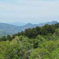 福沢羽山山開き（2025.5.3）#1 羽山の森美術館～下戸内登山口～羽山登山口～羽山山頂～日吉神社登山口