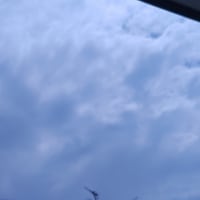 蒸し暑うぅぅ