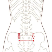 腰痛に効くツボ