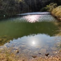 直島