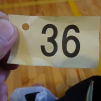 2025-07-09-02