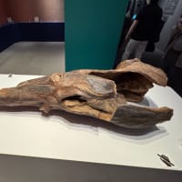 大阪で美術館2ヶ所