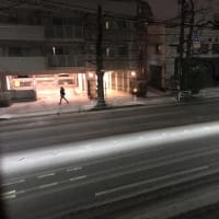 雪の夜　2024横浜必塗マン