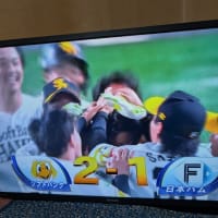 ペイペイドーム