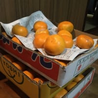「みかんの保存方法」