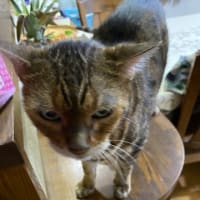 嫌な日…