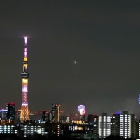 『隅田川花火大会』