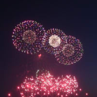 万博会場の花火を撮って来たので送りますよ！-------　ともちゃんからの画像投稿です。