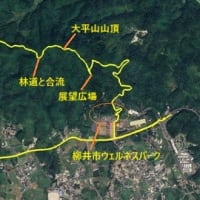 柳井市 大平山尾根をのんびり縦走(1/2)