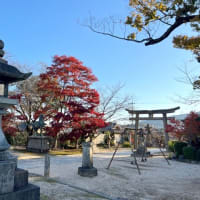 お朔参り