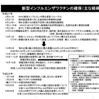 インフルエンザワクチンとギランバレー症候群発症のリスク 国際医療について考える