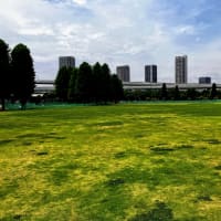 辰巳散策〜辰巳の森海浜公園
