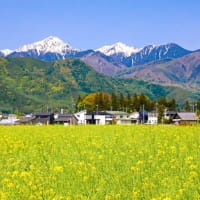 安曇野の春