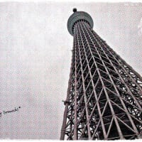 春★弾丸★TOUR