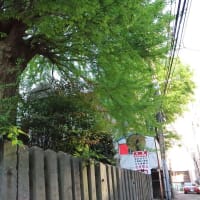 【京都発幕間旅情】熊本手取天満宮,大火内戦大戦越え火除信仰と共に熊本市中心ビル群に憩う