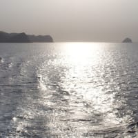 2025年5月 隠岐旅行（第２日目）西郷港より「西ノ島」国賀海岸の絶景を海と陸から眺める