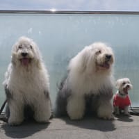 もう10年。