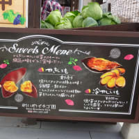 午前中勝負！の達磨寺とれいわイチゴ園