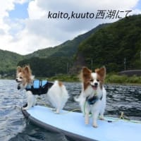 みいちゃん　空斗　海斗　とのお別れ