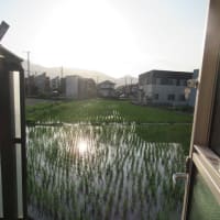 体温よりも、高い温度
