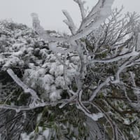【大雪山国立公園・旭岳情報】残雪の旭岳