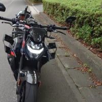 　早朝からカオスです(;´Д｀)