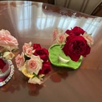 薔薇🌹