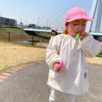お花見🌸