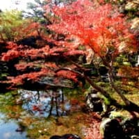 20201231　今年最後の・・・